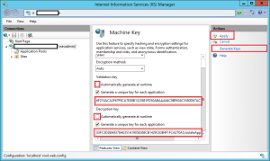 iismachinekey2